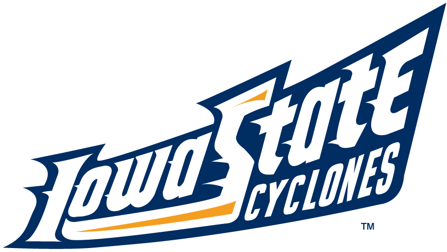 Iowa State Cyclones 1995-2007 Wordmark Logo v7 DIY iron on transfer (heat transfer)